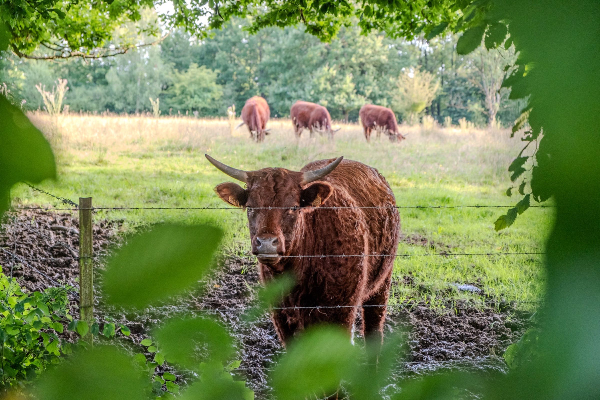 Exterieur van het chateau